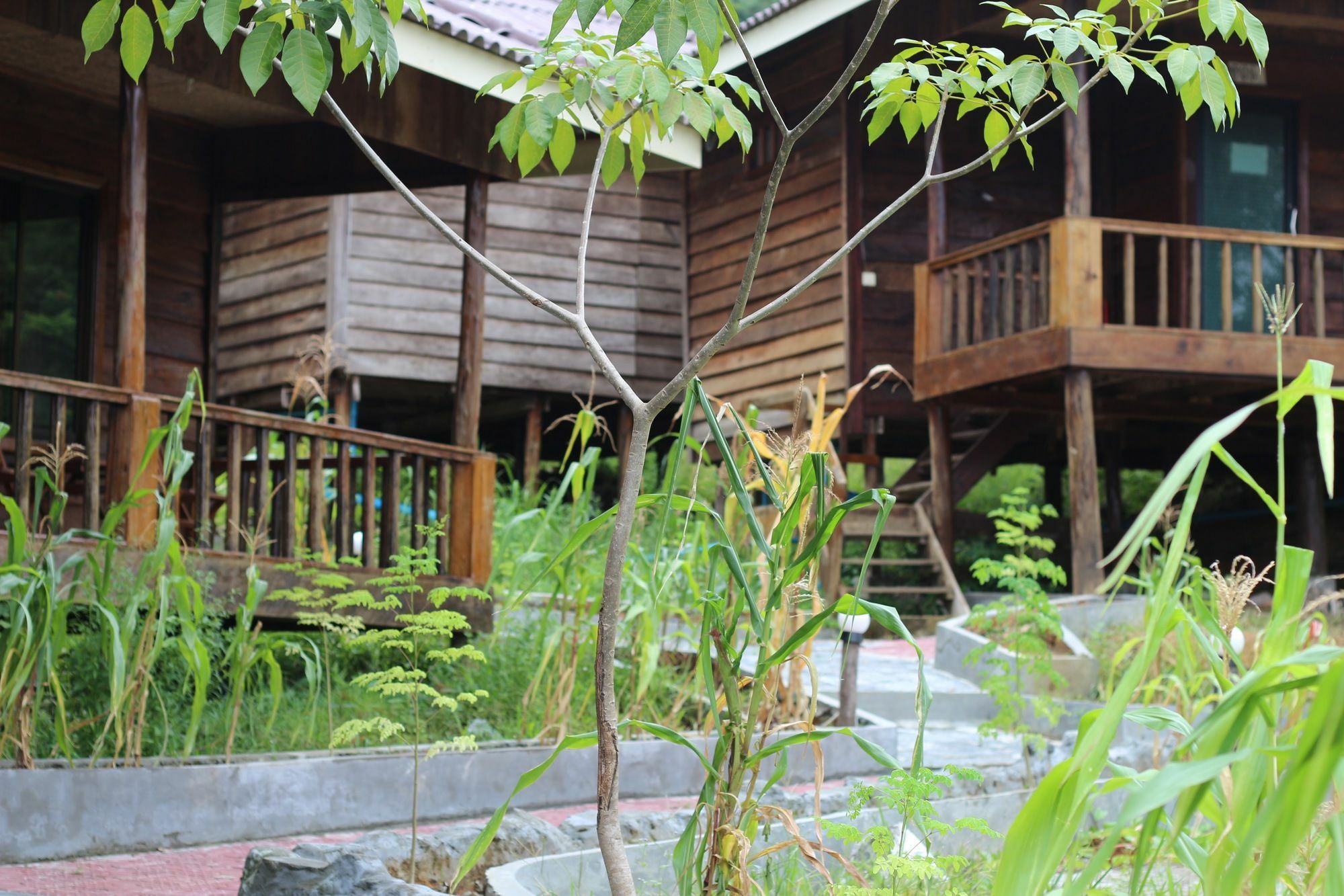 Golden Bungalows Kaoh Touch Exterior foto